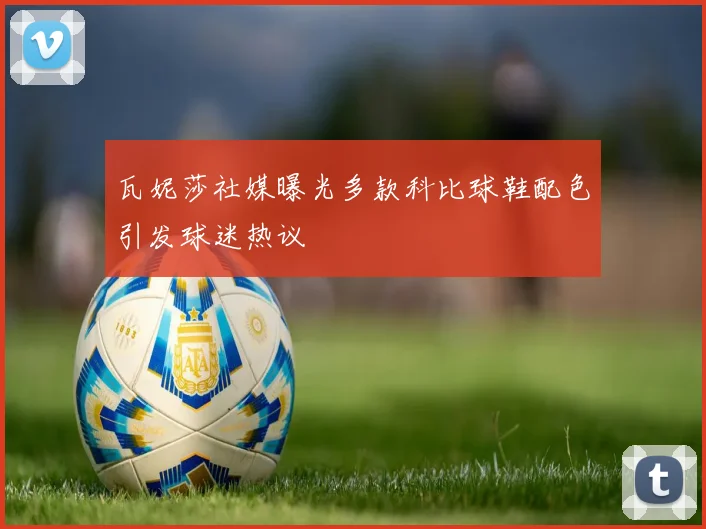 瓦妮莎社媒曝光多款科比球鞋配色引发球迷热议